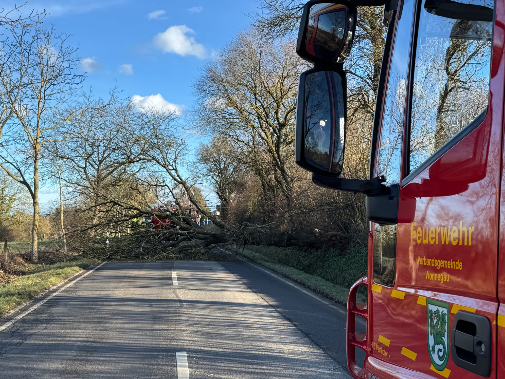Baum auf Straße nach Sturm (L386 vor Osthofen)